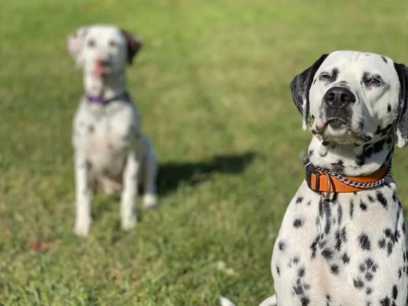 Andersons Toy Box LLC