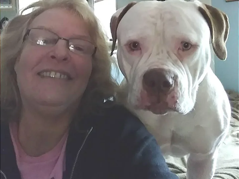 Angel's Prophecy's photo 1