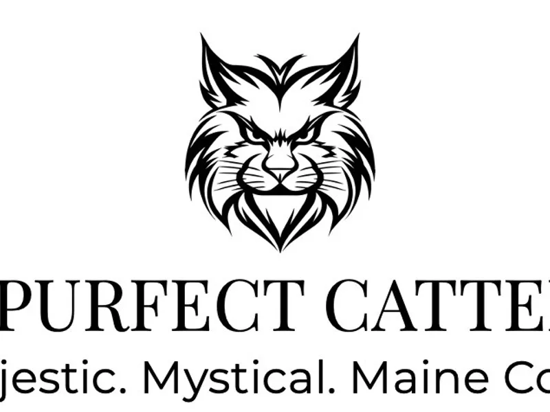 APerfectCattery