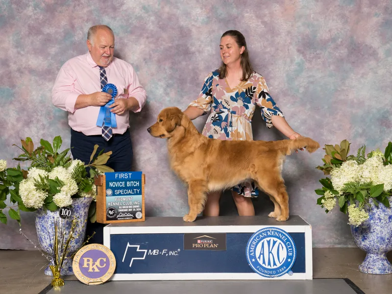 Appalachian Dog Training LLC