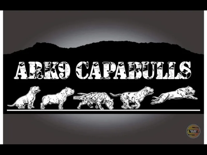 ArK9 Capabulls