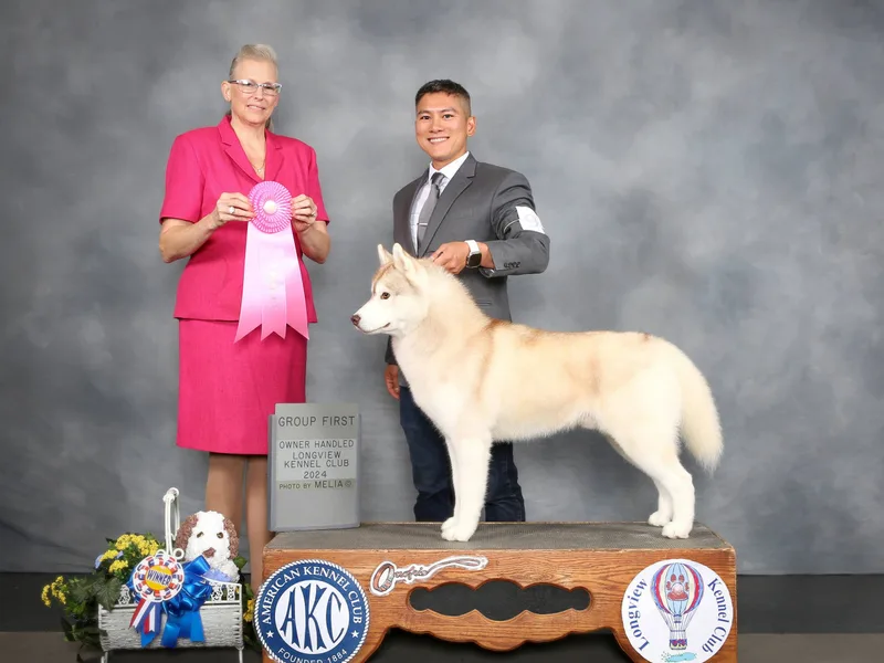 Arkinlight Siberian Husky