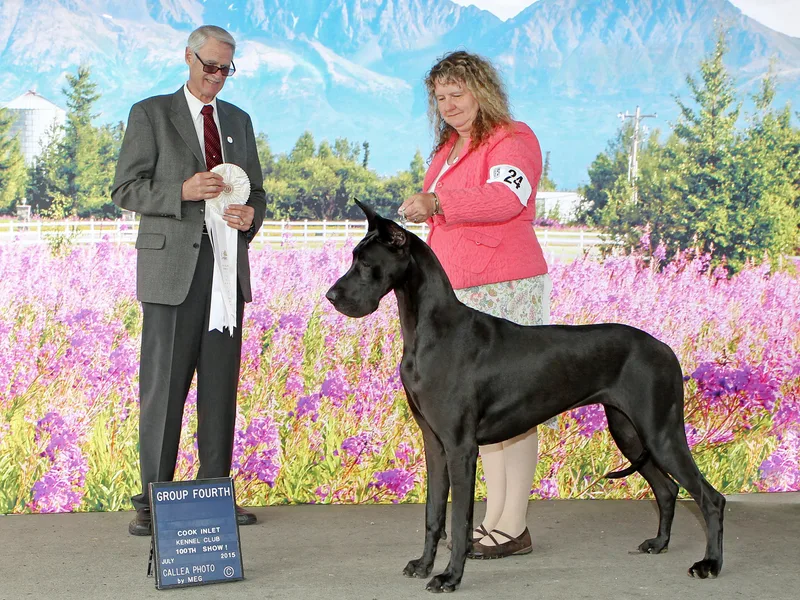 AsayAcres Great Danes