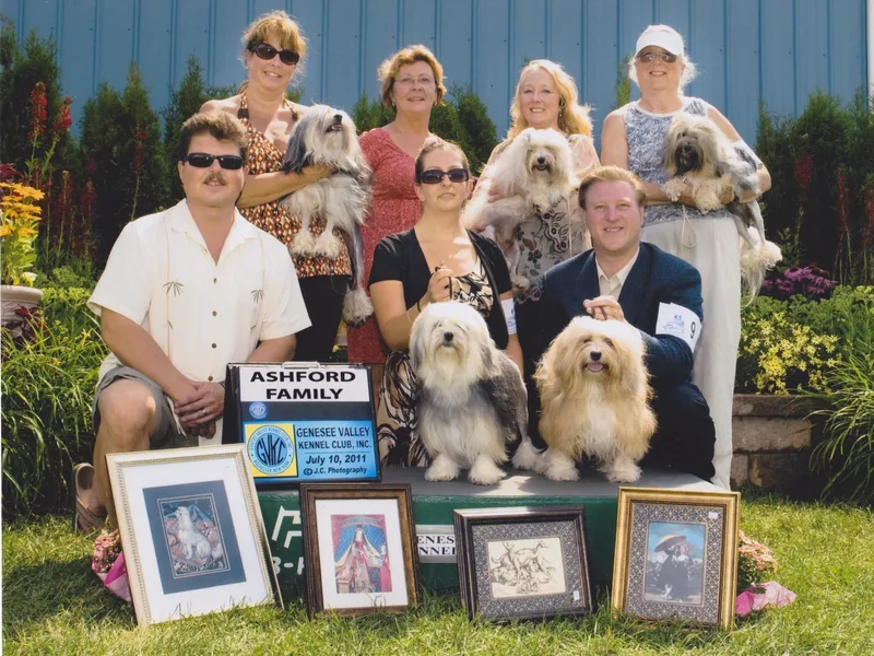 Ashford Kennel photo 1