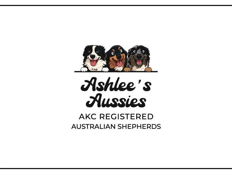 Ashlee's Aussies