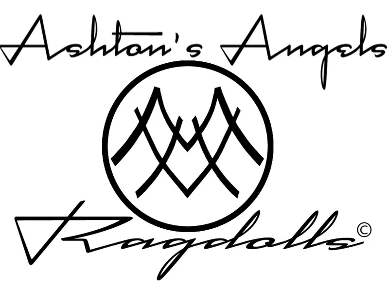AshtonsAngels