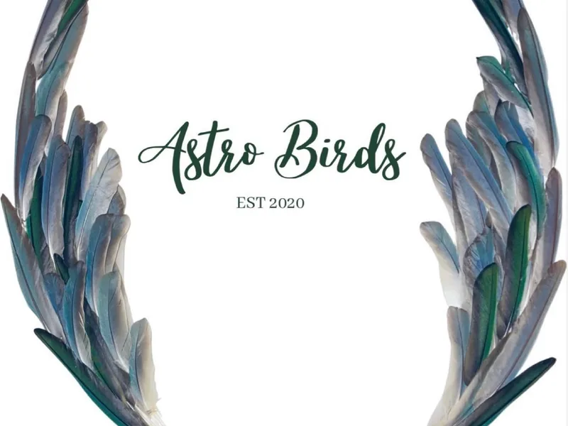 Astro birds photo 1