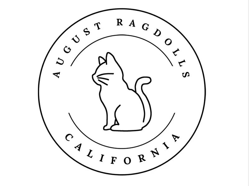 AugustRagdolls