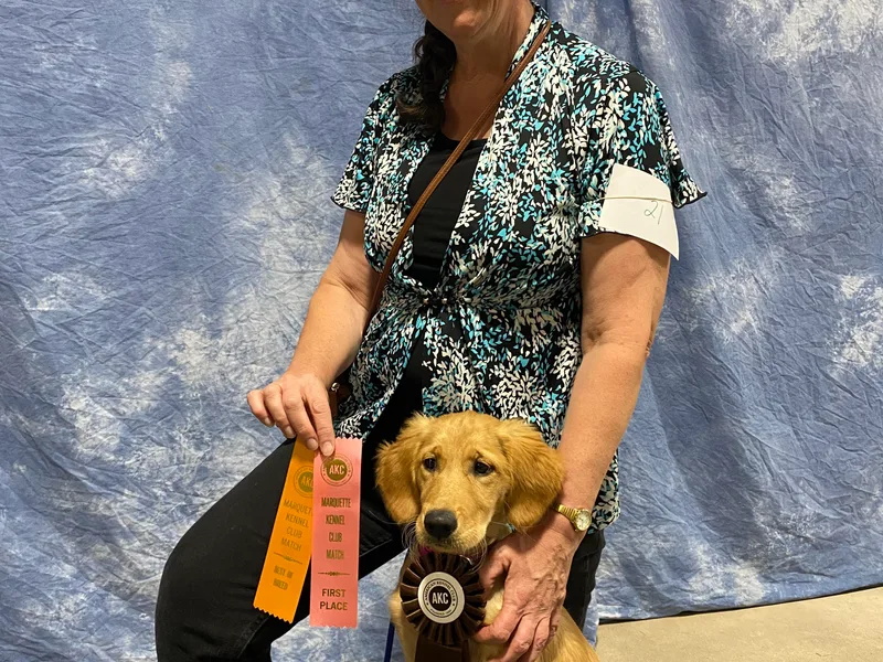 Aurora's Northern Goldens