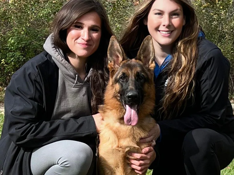 Aus Dem Meer German Shepherds