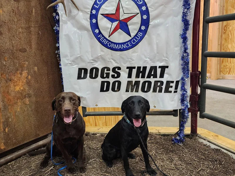 Balanced Rock Retrievers