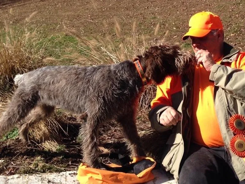 Balcones Sporting Dogs