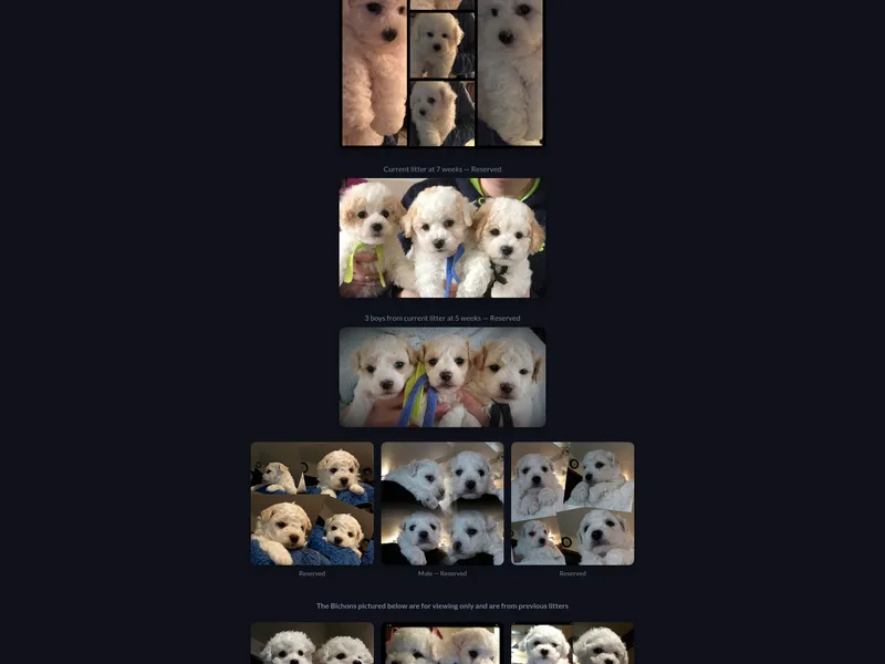 Barb's Bichons Bichonfrise.ws