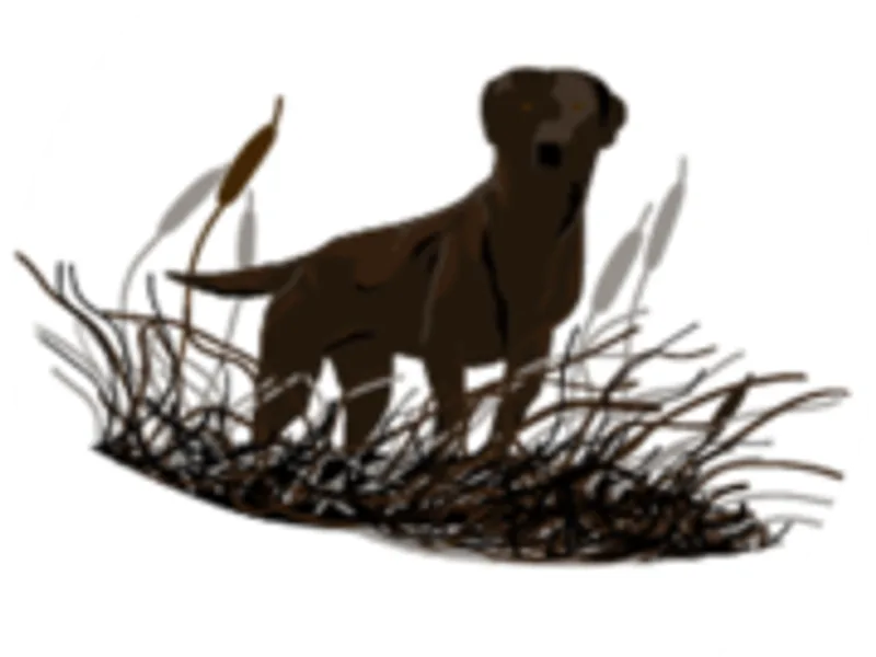 Barnes Puppy Love Kennels