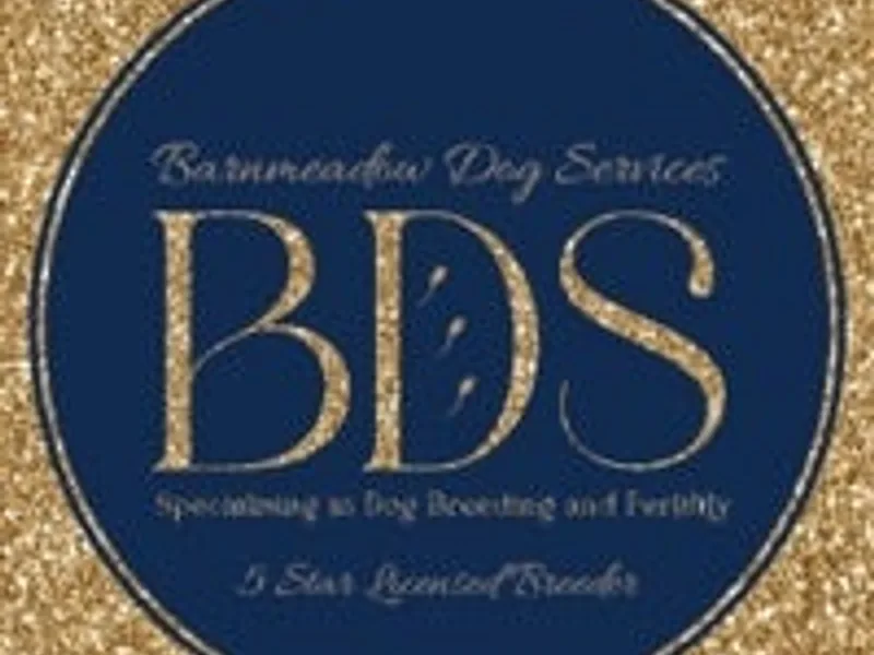 Barnmeadow Dog Services photo 1