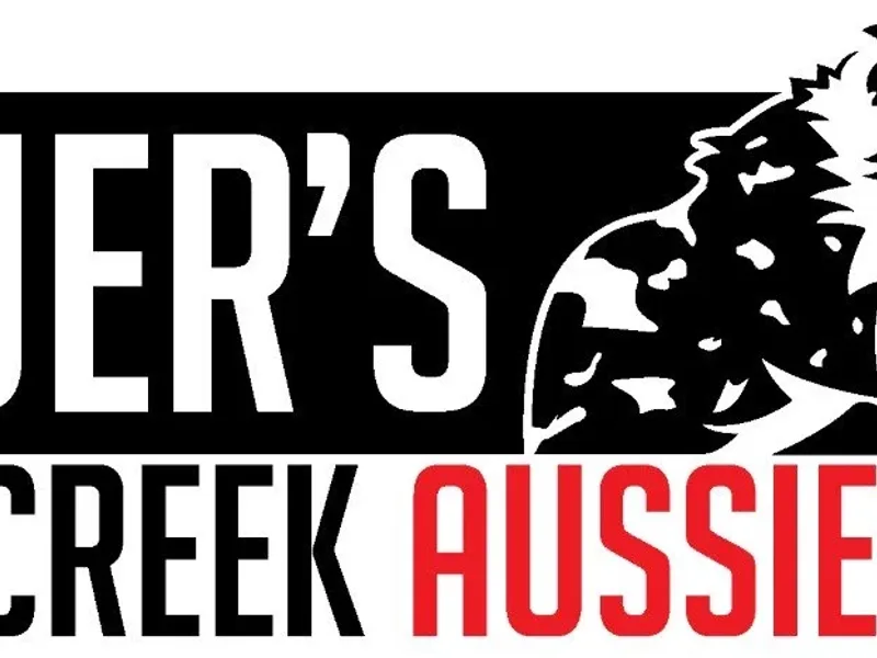 Bauer’s Lost Creek Aussies