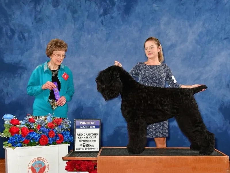 Bayou Black Russians