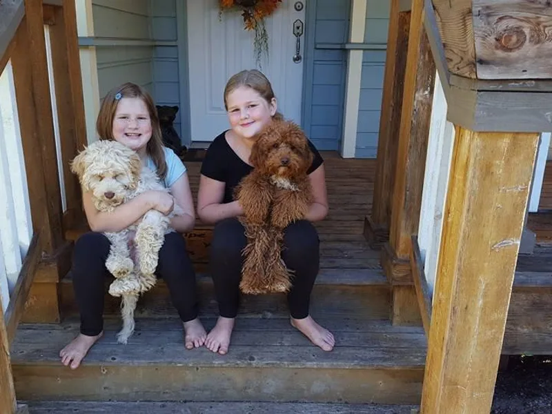 Bayside Labradoodles photo 1