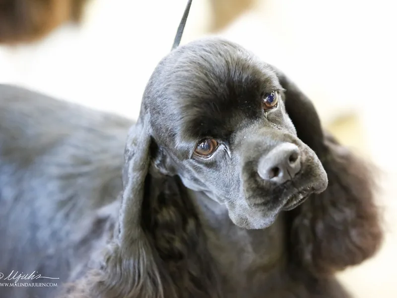 Beachstone - Karen Osper