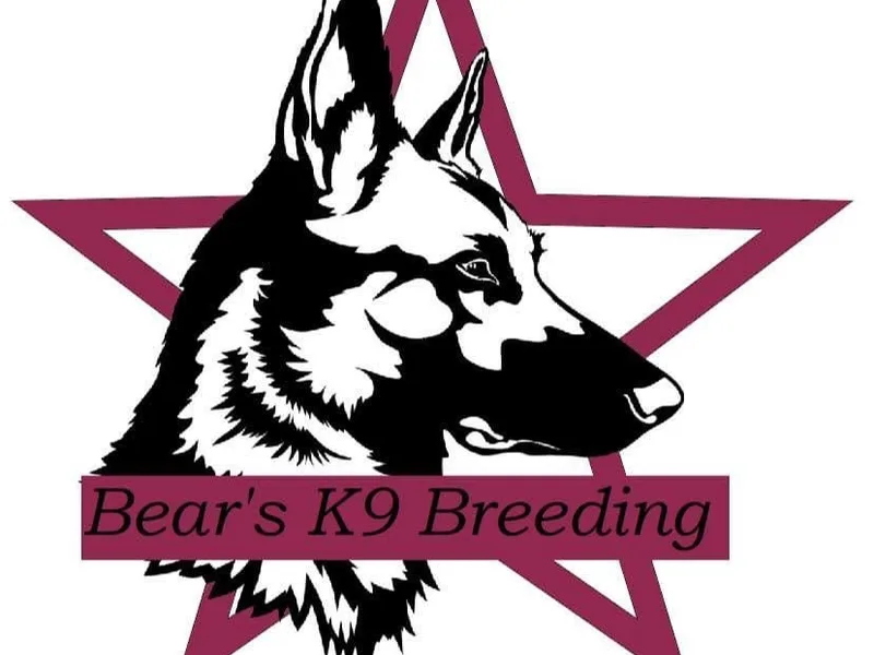 Bearsk9breeding  photo 1
