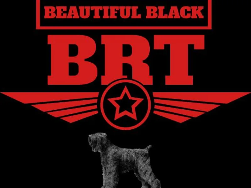 Beautiful Black Russian Terriers photo 1