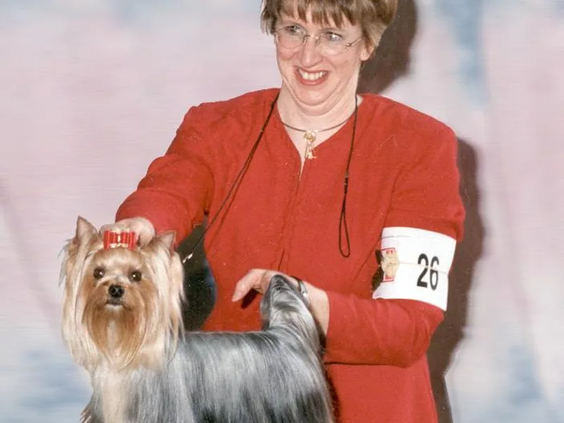 Becker Thomas's Yorkshire Terriers