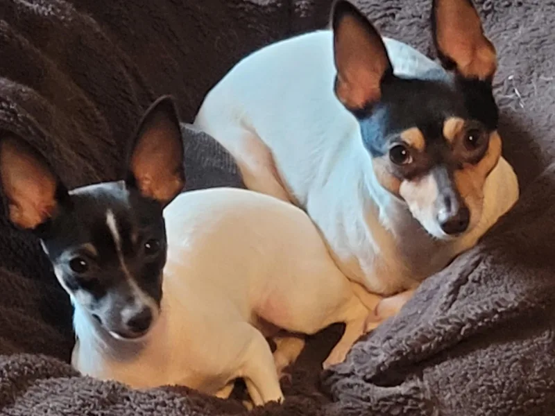 Bee'Em Sea Kennel photo 1