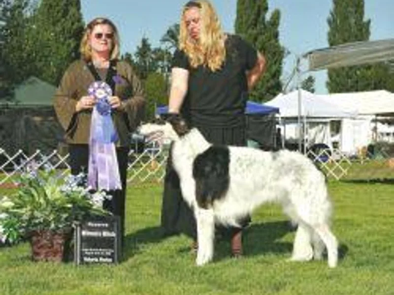 Bella Luna Kennel