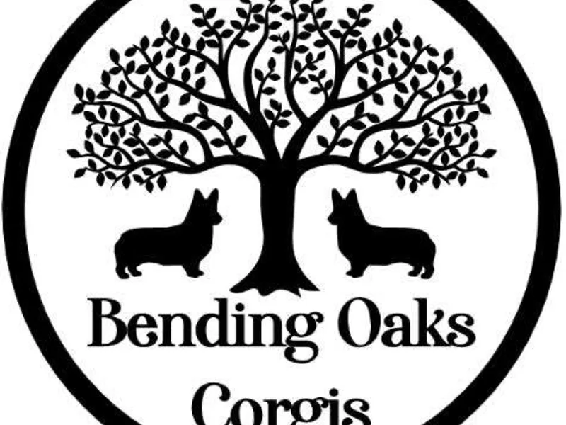 Bending Oaks Corgis