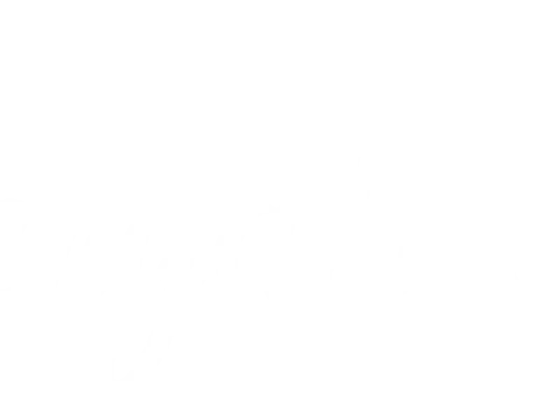 BengalsPrideCO photo 1