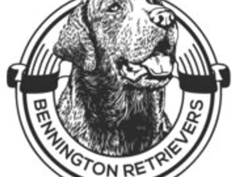 Bennington Retrievers