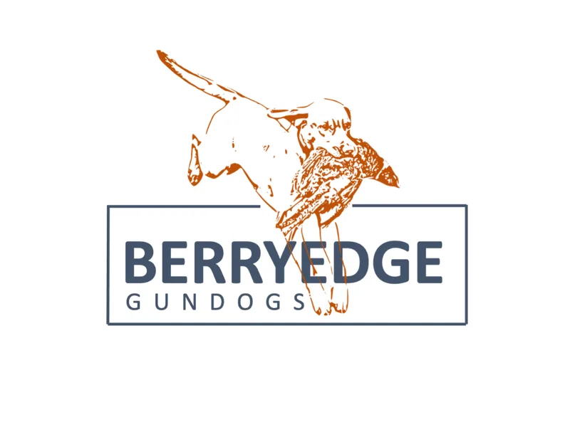 Berryedge Gundogs  photo 1