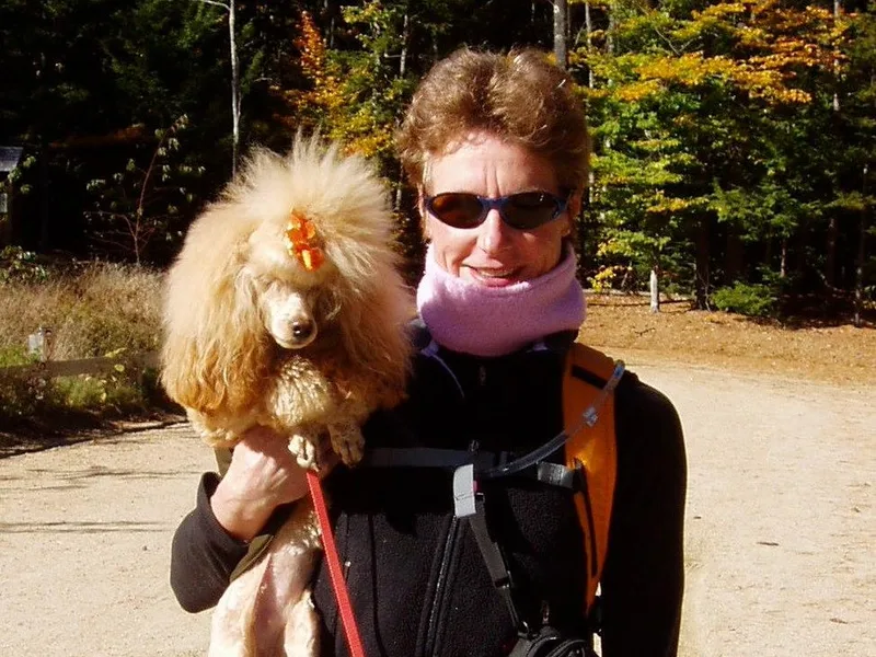 Betse Curtis's Poodles