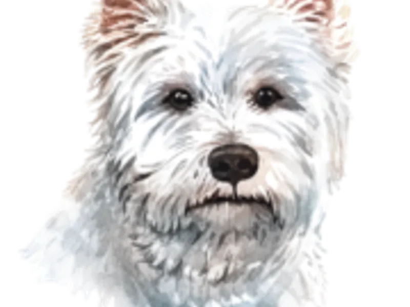 Betty Yoder C Lou Puppies