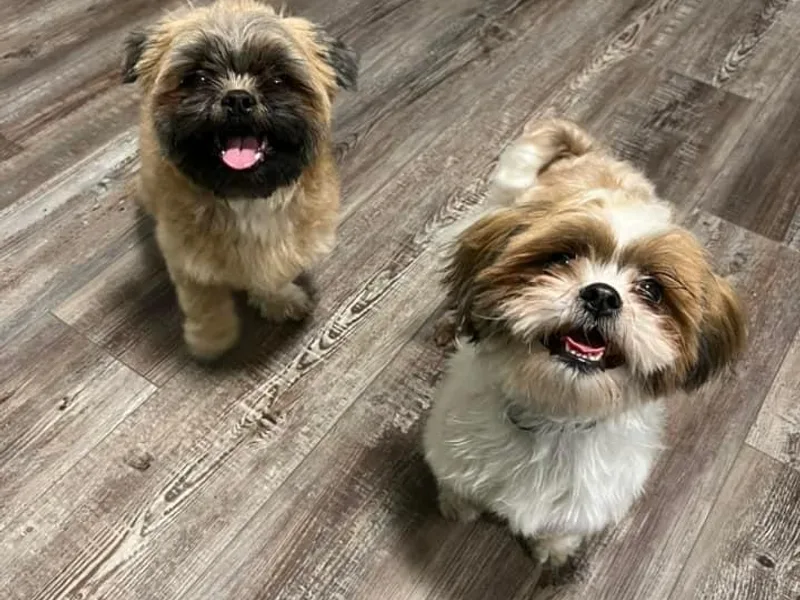 Between The Creeks Farmstead