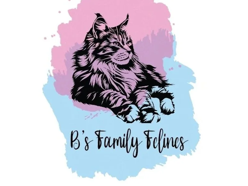 Bfamilyfelines photo 1