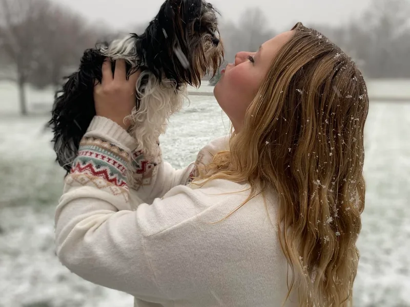 Biewer Terriers of Stone Creek