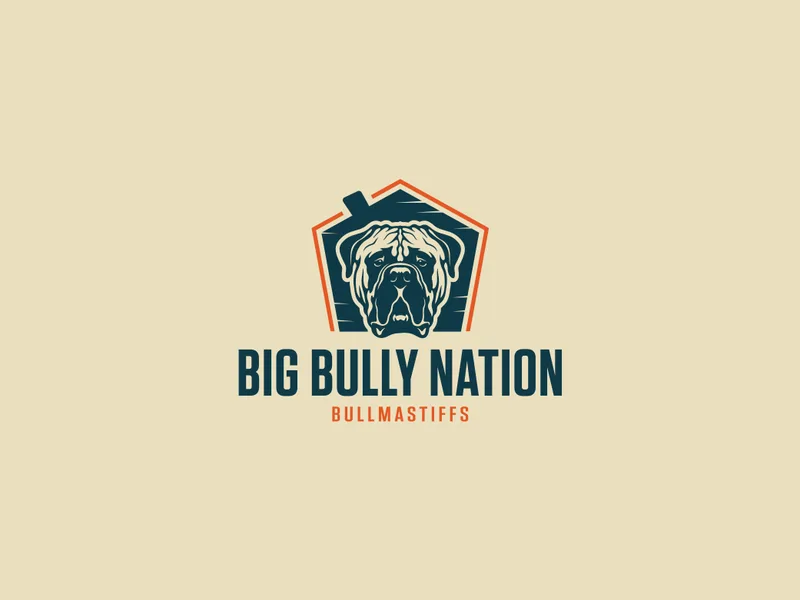 Big Bully Nation