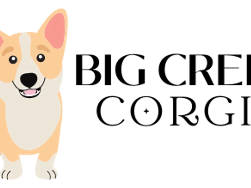 Big Creek Corgis