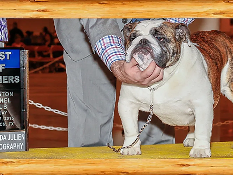 Big Pine Bulldogs