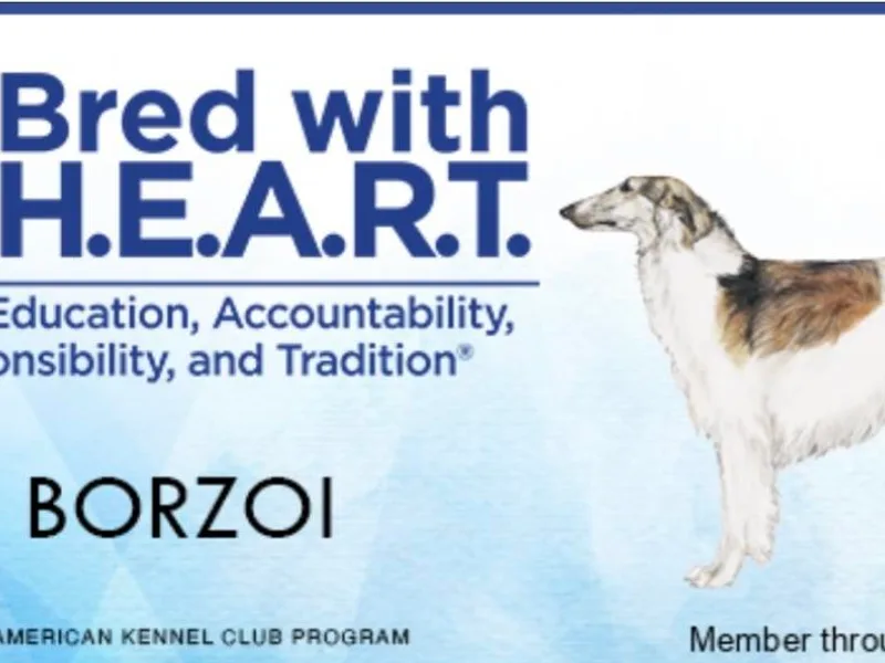 Big River Borzoi