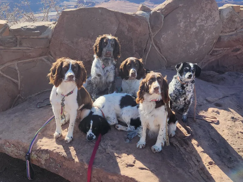 Bigfoot's Kennel
