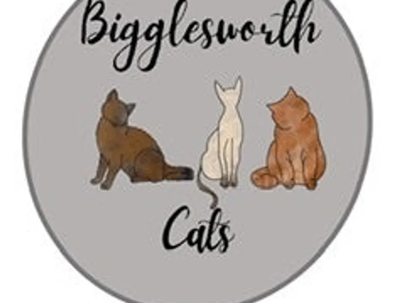 Bigglesworth British photo 1
