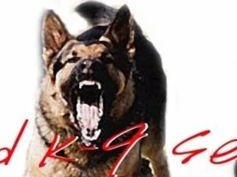 Bill Whited Whited K-9 Services, Inc