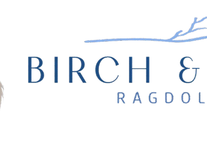 BirchBlueRags
