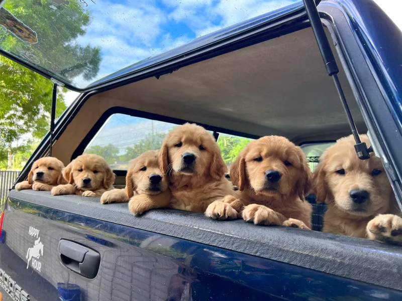 Bit O'Heaven Farm