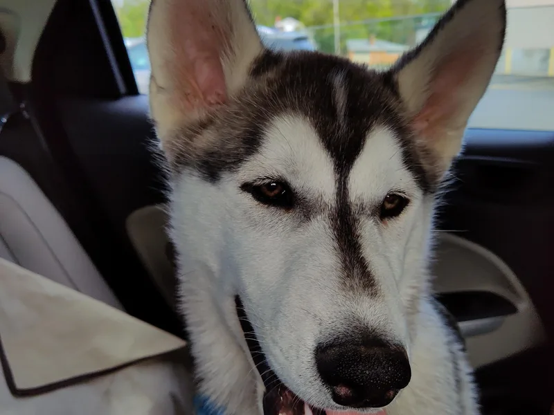 BitchCraft Creations