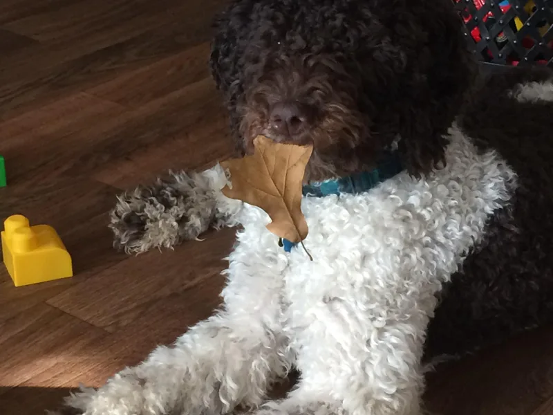 Bits &amp; Bytes Farm