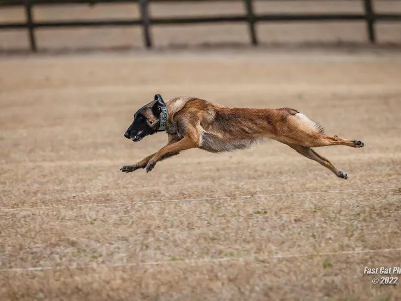 Bitz’N Pieces Ranch