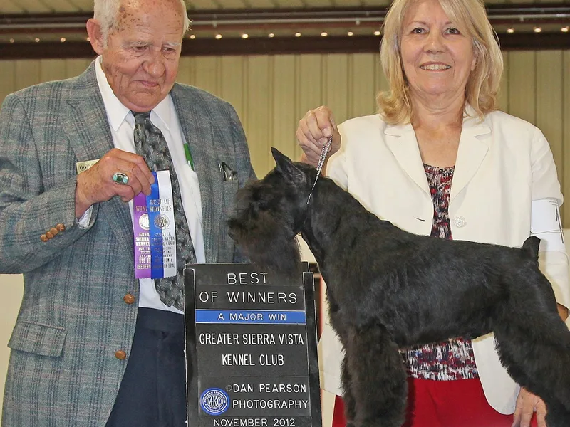 Bizzy Acres Miniature Schnauzers